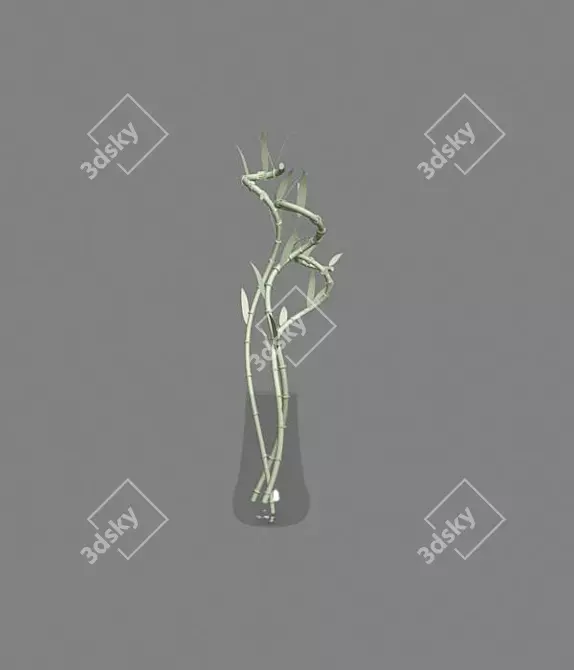 Title: Glass Vase Bamboo Shoots 3D model image 1