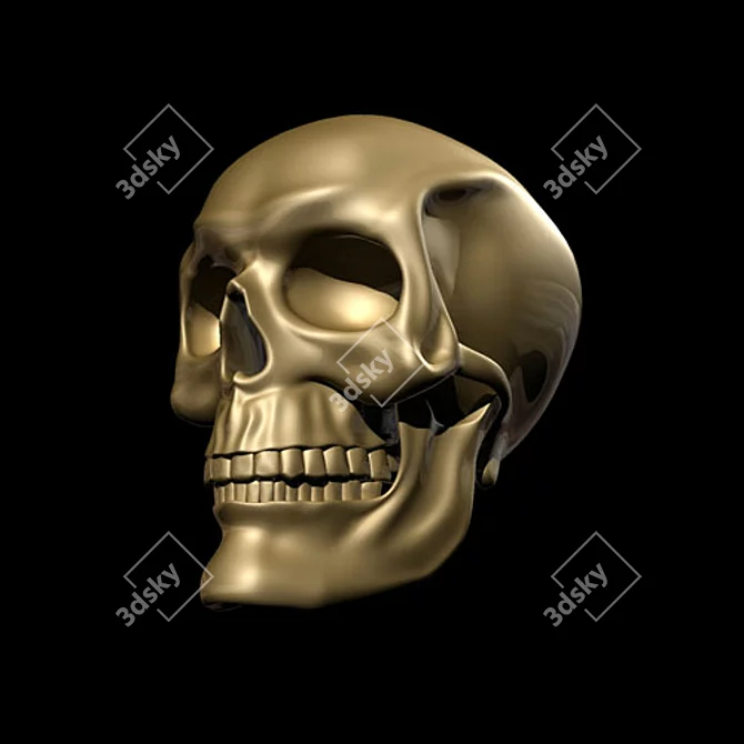 3D Skull Model - Multiple File Formats 3D model image 1