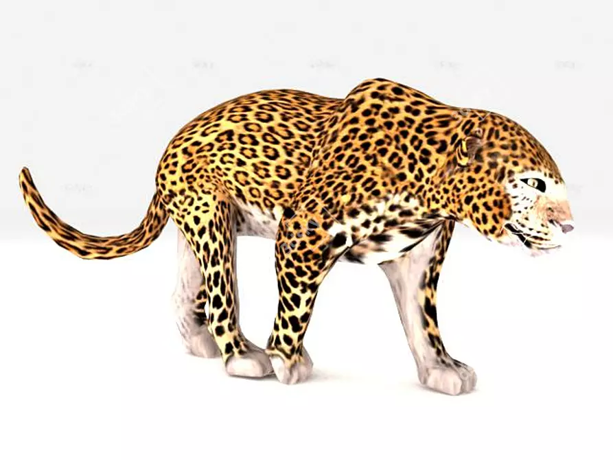 Sleek Leopard 3D Model 3D model image 1