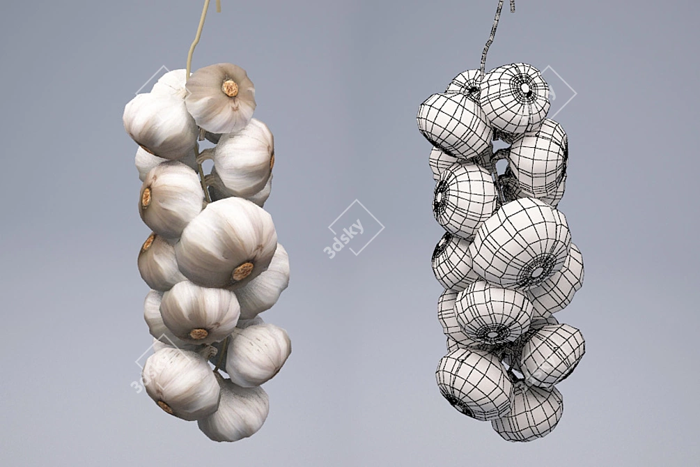 Garlic 3D Model | 1152 Polygons | 24176 Poly | Texture 800x800 3D model image 1