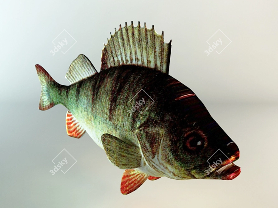 Delicious Freshwater Carp Fish

Translation: Carp Fish

(Note: The translation provided is a direct translation of the term "карась 3D model image 1