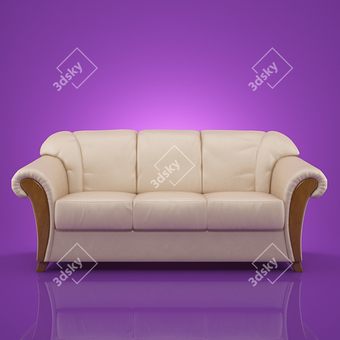 Pohjanmaan Bella: Timeless Leather Elegance 3D model image 1
