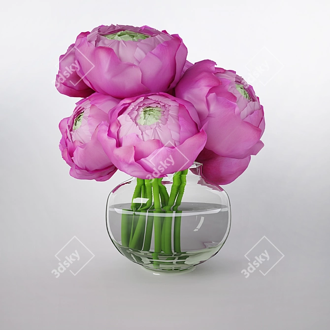 Bouquet of Ranunculus Flowers 3D model image 1