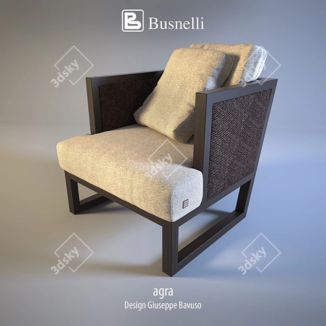 Luxurious Busnelli Agra Chair 3D model image 1