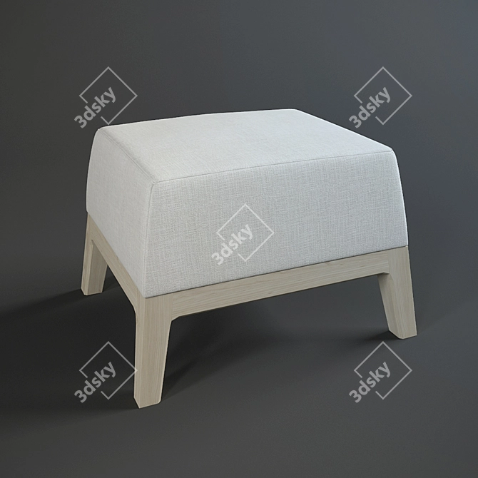 Passoni Nature Pouf: Stylish and Versatile Seating 3D model image 1