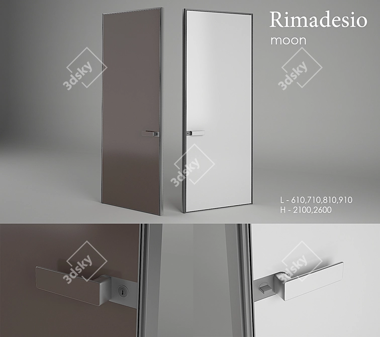 Sleek Flush Door: Rimadesio Moon 3D model image 1