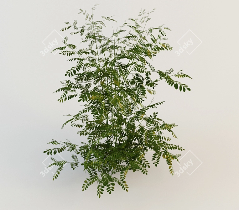 Waterfront Growth Bush 3D model image 1