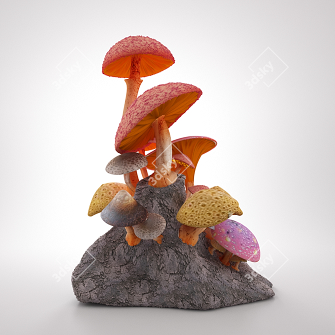 3D Fungal Creation Kit 3D model image 1