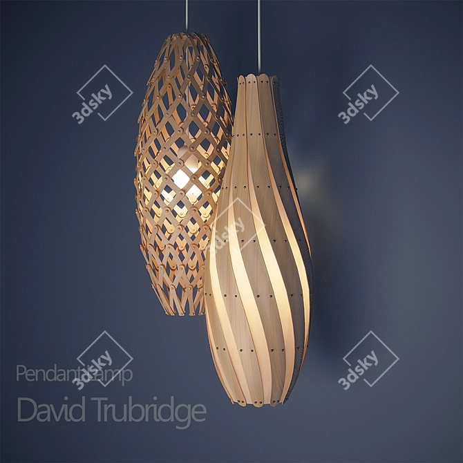 Elegant Trubridge Pendant Light 3D model image 1