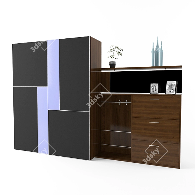 Stylish Hallway Closet 3D model image 1