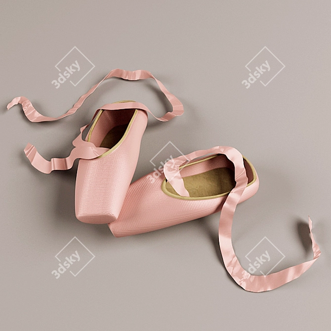 Elegant Pointe Shoes 3D model image 1