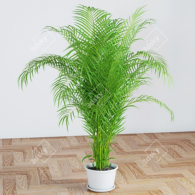 Tropical Palm Tree 1150mm: High Quality 3D Model 3D model image 1