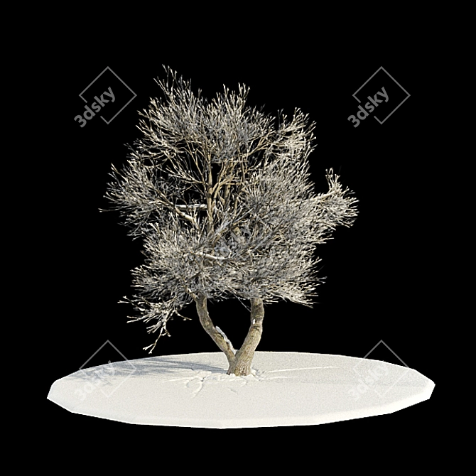 Snowy Tree Mesh v3 3D model image 1