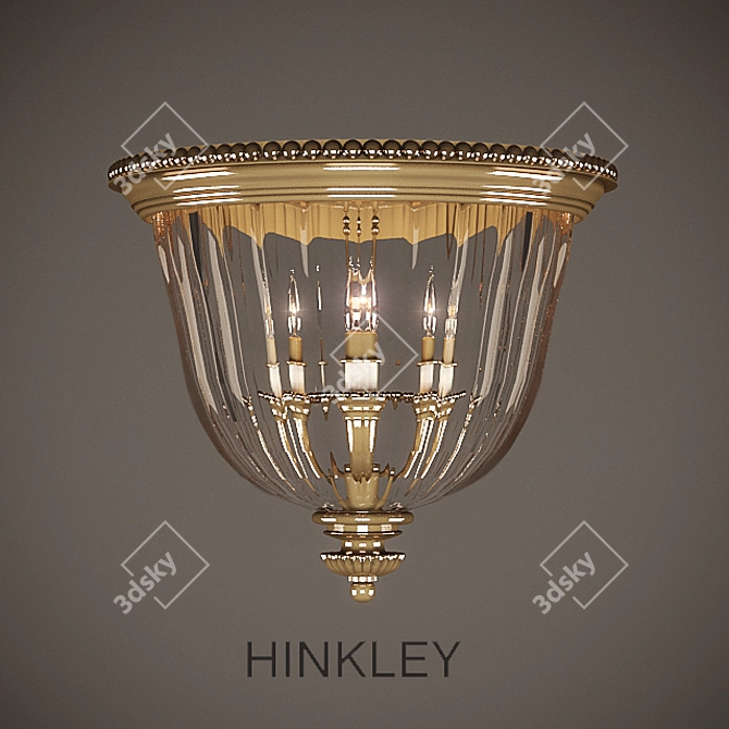 HINKLEY 14.5" Flush Mount Light 3D model image 1