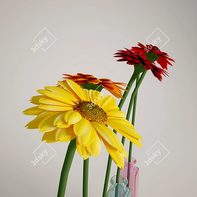 Colorful Gerbera Bouquet 3D model image 2