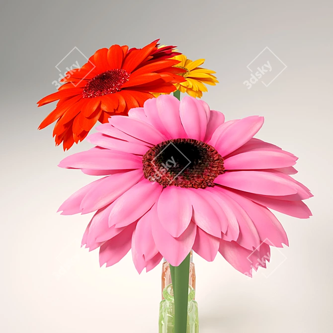 Colorful Gerbera Bouquet 3D model image 3