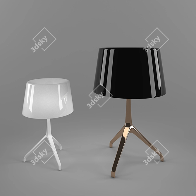 Elegant Illumination: Foscarini Lumiere 3D model image 2