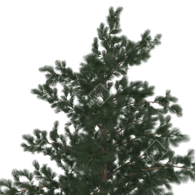 Title: Larch Texture Pack 3D model image 2