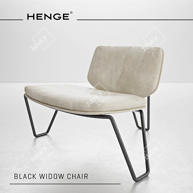 Stealthy Henge Black Widow 3D model image 1