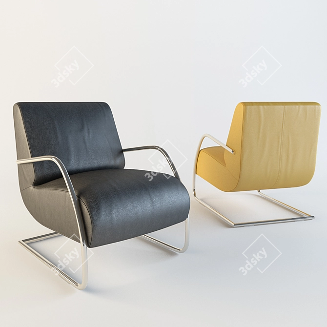  Stylish W.schillig Wheelchair 3D model image 1