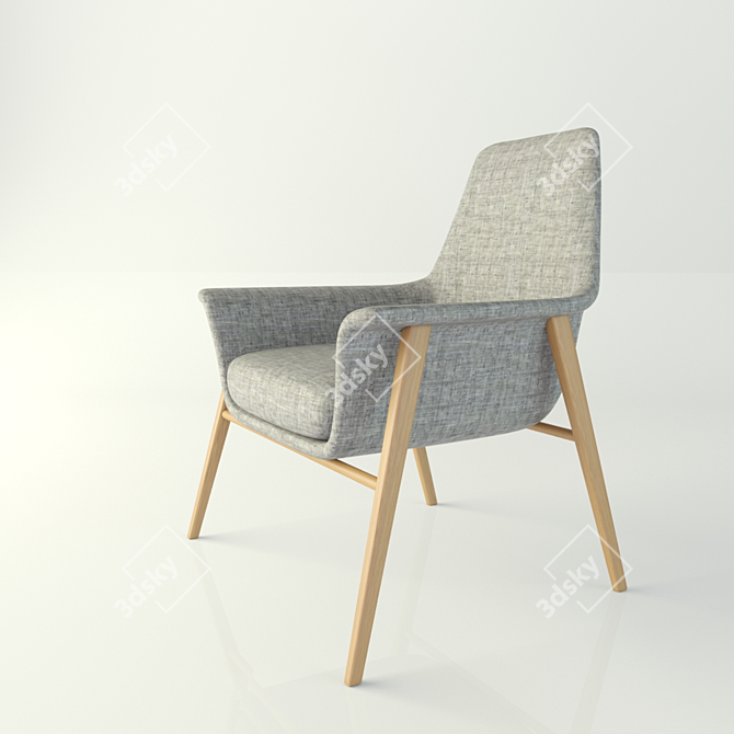 Dall`Agnese Dafne Wheelchair: Stylish and Comfortable 3D model image 1