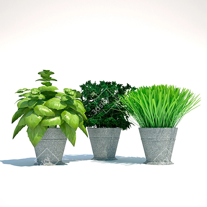 Kitchen Plants: 331K Poly, 216K Verts 3D model image 1