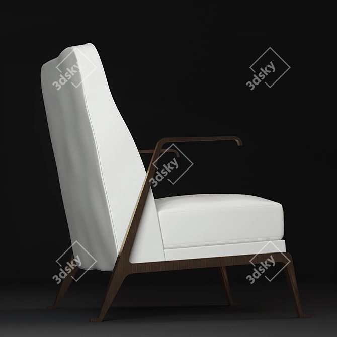 Akan Low Back Armchair - Stylish Comfort 3D model image 3