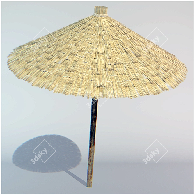 Sunny Straw Beach Parasol 3D model image 1
