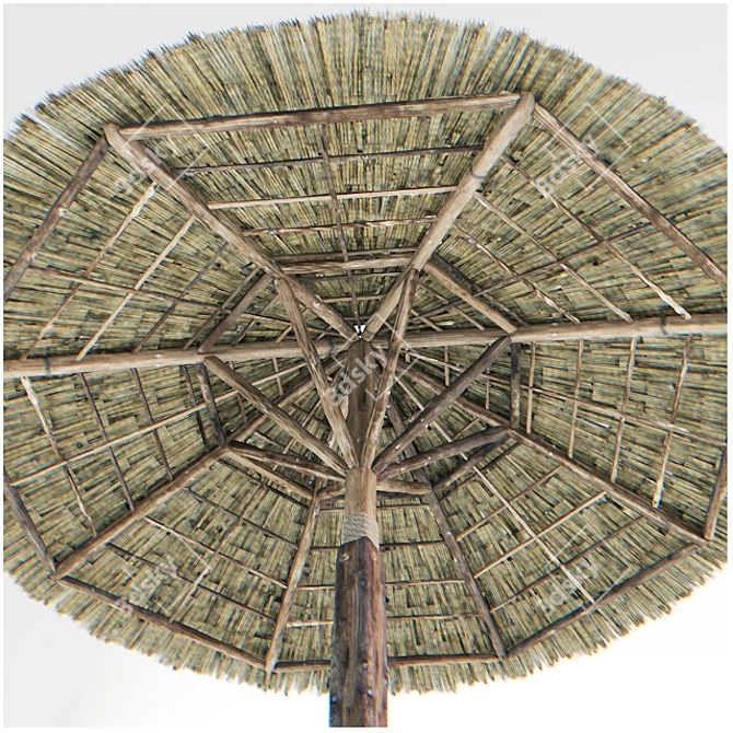 Sunny Straw Beach Parasol 3D model image 2