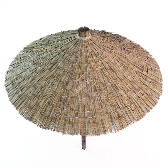 Sunny Straw Beach Parasol 3D model image 3