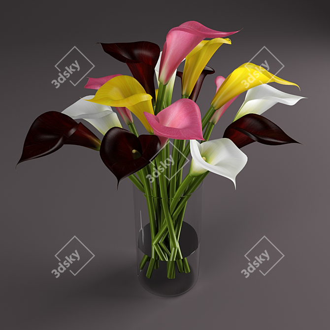 Vibrant Calla Lilies: Multi-Colored Beauty 3D model image 1