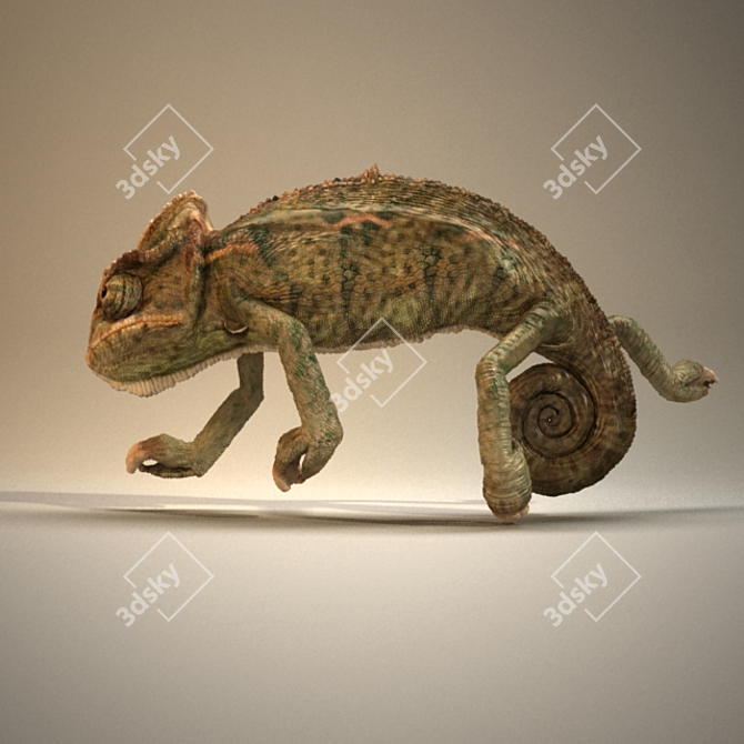 Color-Changing Reptile: Chameleon 3D model image 1