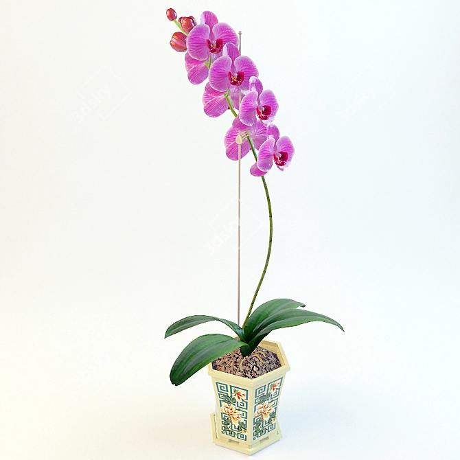 Elegant Orchid02: Beauty Blooms 3D model image 1