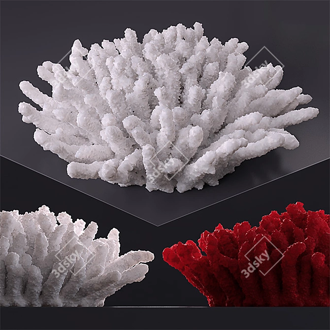 Color-changing Decorative Coral 3D model image 2