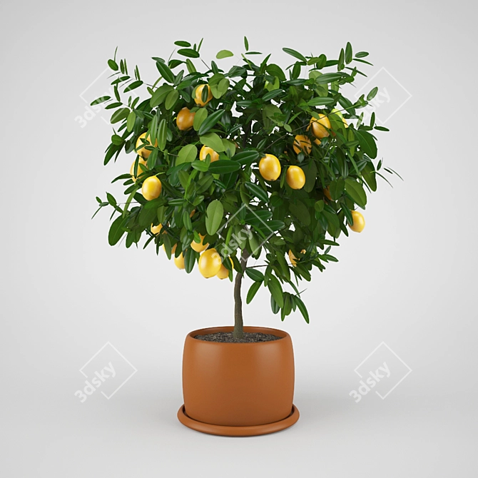 Citrus Bliss Lemon Tree 3D model image 1