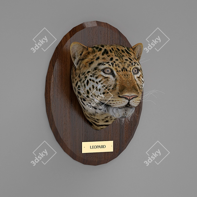 Magnificent African Leopard 3D model image 1