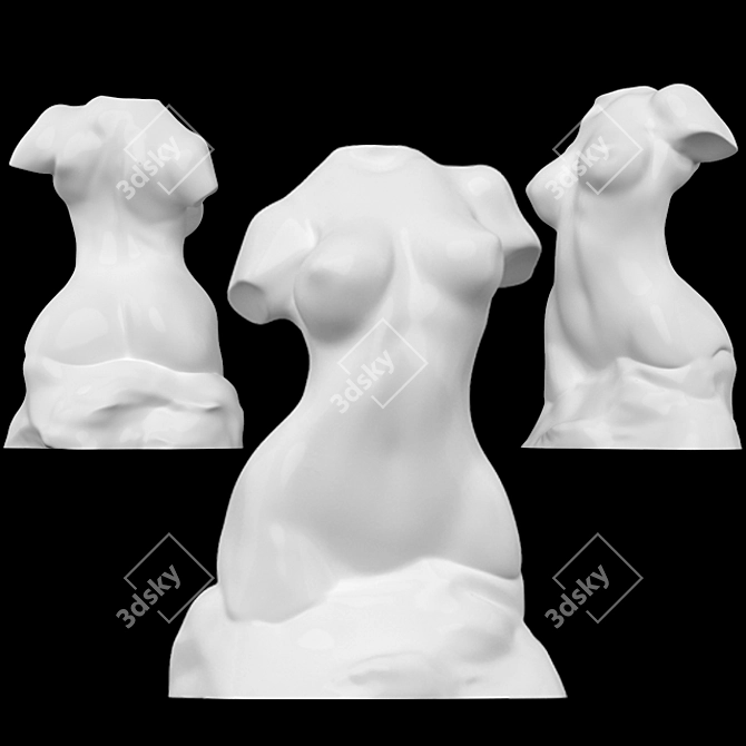 Elegant Female Sculpting Torso 3D model image 1