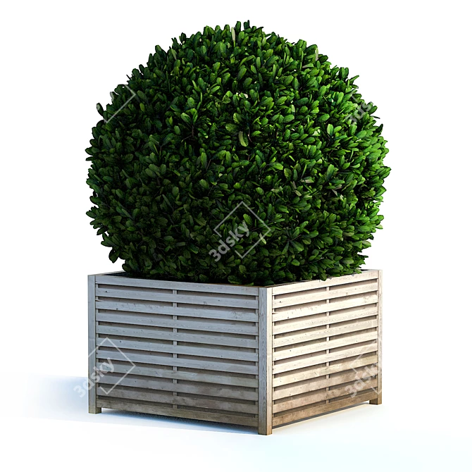 Round Bush 3D Model 3D model image 2