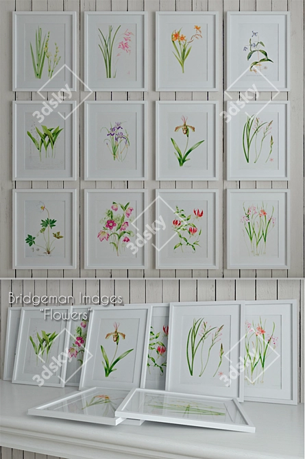 Blooming Masterpieces: Bridgeman Images 3D model image 1