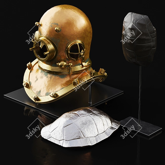 Curated Decor Set: Tortoise Shell, 3D Turtle Shell, Vintage Diver's Helmet 3D model image 1