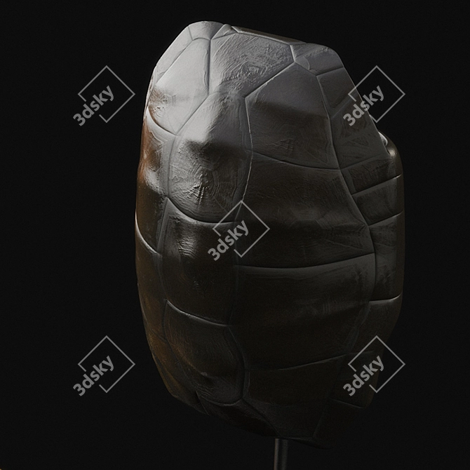 Curated Decor Set: Tortoise Shell, 3D Turtle Shell, Vintage Diver's Helmet 3D model image 3