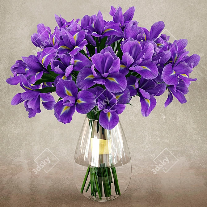 Vray Irises 3D Model 3D model image 1