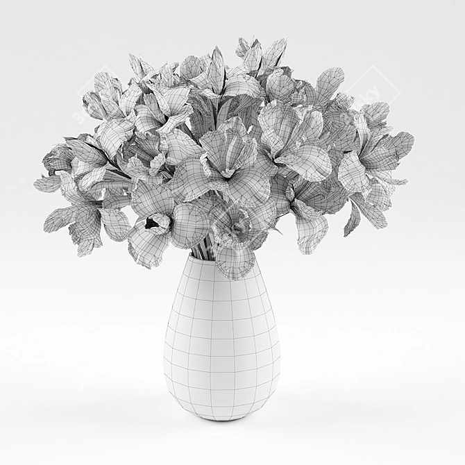 Vray Irises 3D Model 3D model image 2