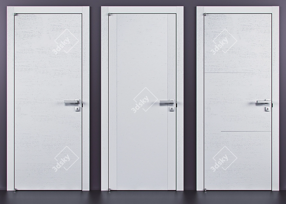 Elegant Barausse Doors for Stylish Interiors 3D model image 2