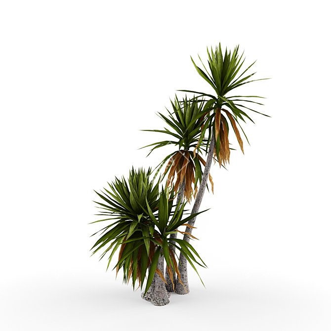 Elegant Yucca #2 for Exquisite Gardens 3D model image 1