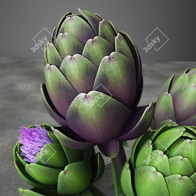 Artichoke Bouquet: Delicious & Nutritious! 3D model image 2