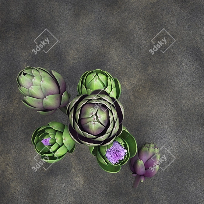 Artichoke Bouquet: Delicious & Nutritious! 3D model image 3