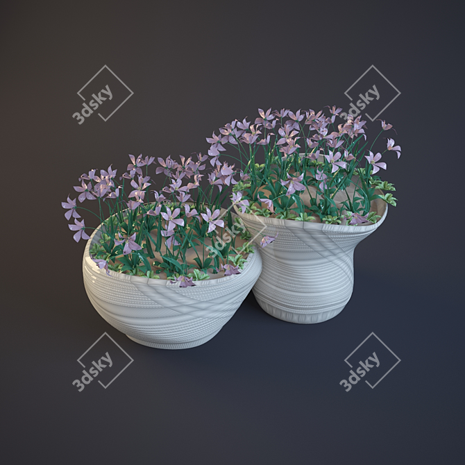 Beautiful Flower Beds for Your Garden 3D model image 1
