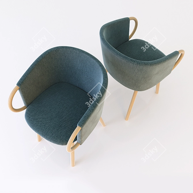 Zant Chair  Elegant and Versatile 3D model image 2