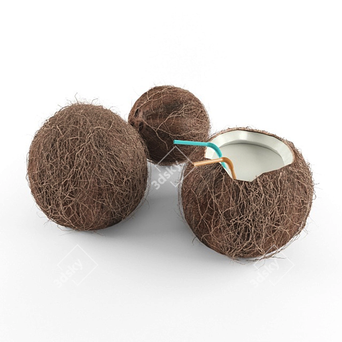 Exotic Coconut Duo: Open & Closed 3D model image 1